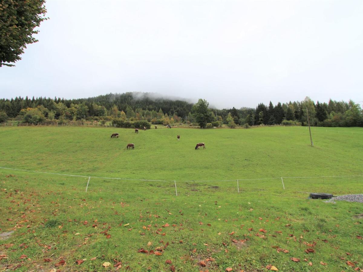 Beautiful Holiday Apartment In A Renovated Farmhouse In Fresach Carinthia Bagian luar foto